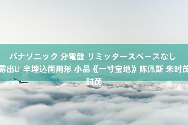パナソニック 分電盤 リミッタースペースなし 露出・半埋込両用形 小品《一寸宝地》陈佩斯 朱时茂
