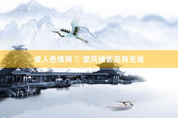 成人色情网 ​望风捕影及有无说