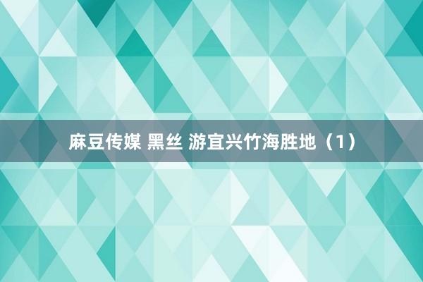 麻豆传媒 黑丝 游宜兴竹海胜地（1）