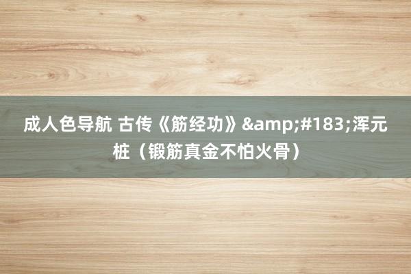 成人色导航 古传《筋经功》&#183;浑元桩（锻筋真金不怕火骨）