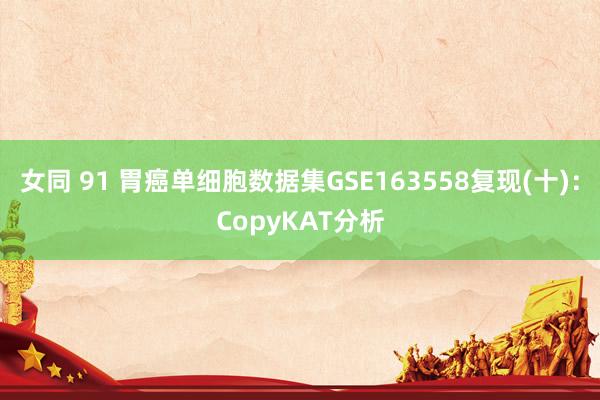 女同 91 胃癌单细胞数据集GSE163558复现(十)：CopyKAT分析