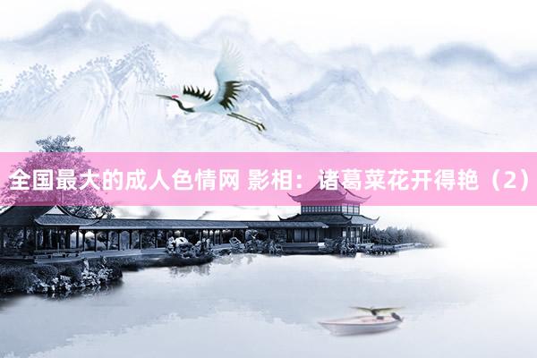 全国最大的成人色情网 影相：诸葛菜花开得艳（2）