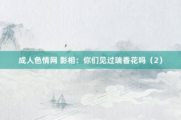 成人色情网 影相：你们见过瑞香花吗（2）