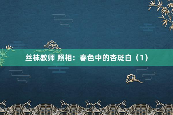 丝袜教师 照相：春色中的杏斑白（1）