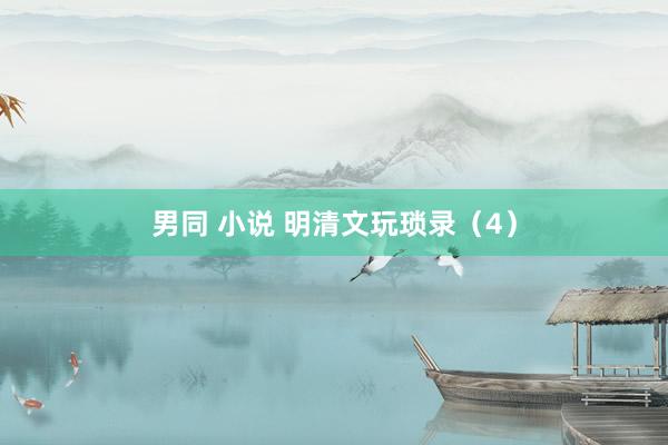 男同 小说 明清文玩琐录（4）